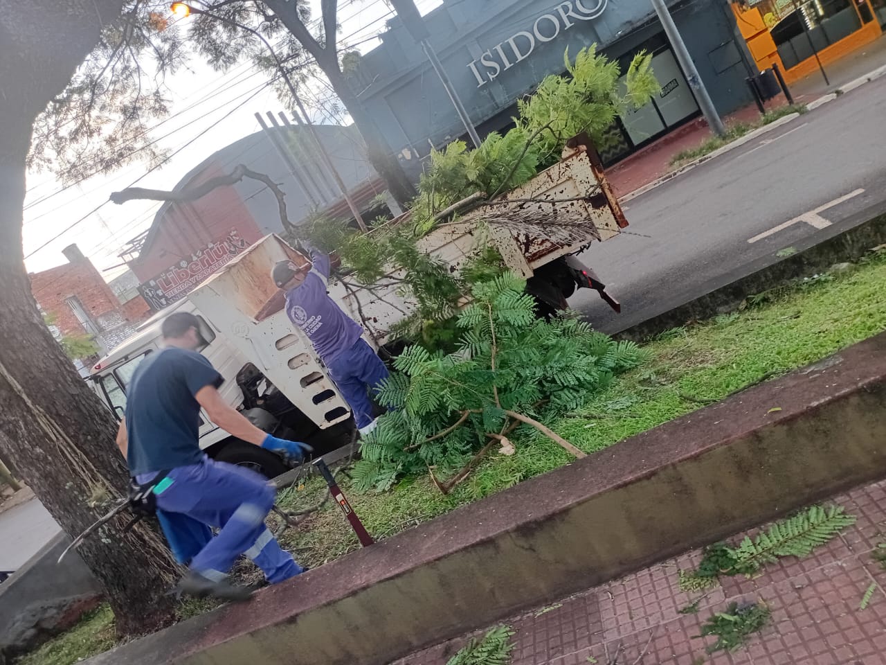 trabajo de despeje tras la tormenta_2